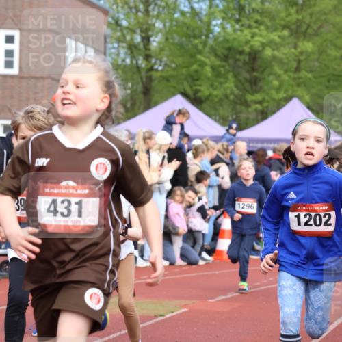 14.04.2024 - Hammer Lauf Strokosch-Dieckow http://msf.ph/oto/6065317 14.04.2024 09:51:19 Ziel 393, 431, 565, 639, 689, 751, 752, 956, 986, 1042, 1107, 1202, 1284, 1297, 393, 431, 565, 639, 689, 751, 752, 956, 986, 1042, 1107, 1202, 1284, 1297 meine-sportfotos.de