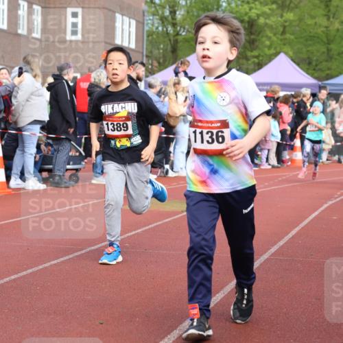 14.04.2024 - Hammer Lauf Strokosch-Dieckow http://msf.ph/oto/6065319 14.04.2024 09:51:22 Ziel 393, 431, 558, 565, 751, 752, 1042, 1107, 1202, 1284, 1296, 1297, 393, 431, 558, 565, 751, 752, 1042, 1107, 1202, 1284, 1296, 1297 meine-sportfotos.de