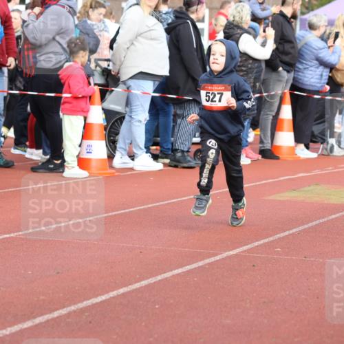 14.04.2024 - Hammer Lauf Strokosch-Dieckow http://msf.ph/oto/6065340 14.04.2024 09:51:34 Ziel 651, 732, 932, 972, 1136, 1138, 1187, 1214, 1398, 651, 732, 932, 972, 1136, 1138, 1187, 1214, 1398 meine-sportfotos.de