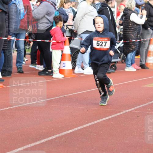 14.04.2024 - Hammer Lauf Strokosch-Dieckow http://msf.ph/oto/6065342 14.04.2024 09:51:35 Ziel 527, 651, 732, 932, 972, 1138, 1214, 1398, 527, 651, 732, 932, 972, 1138, 1214, 1398 meine-sportfotos.de