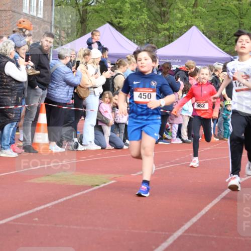 14.04.2024 - Hammer Lauf Strokosch-Dieckow http://msf.ph/oto/6065348 14.04.2024 09:51:39 Ziel 527, 732, 972, 1138, 527, 732, 972, 1138 meine-sportfotos.de