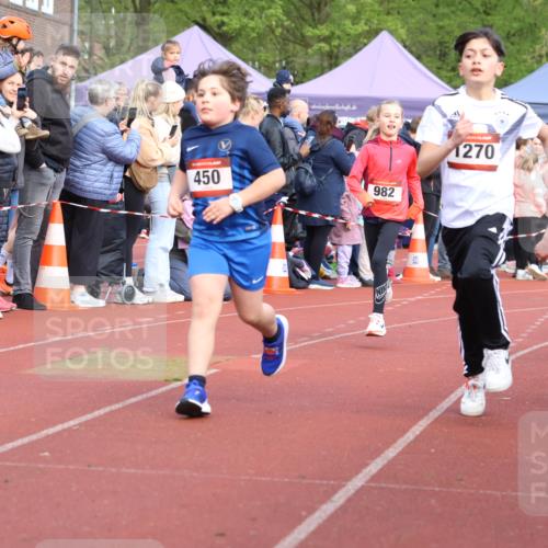 14.04.2024 - Hammer Lauf Strokosch-Dieckow http://msf.ph/oto/6065350 14.04.2024 09:51:40 Ziel 527, 965, 972, 1138, 1270, 1404, 527, 965, 972, 1138, 1270, 1404 meine-sportfotos.de