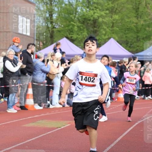 14.04.2024 - Hammer Lauf Strokosch-Dieckow http://msf.ph/oto/6065359 14.04.2024 09:51:49 Ziel 450, 959, 965, 982, 1270, 1404, 450, 959, 965, 982, 1270, 1404 meine-sportfotos.de