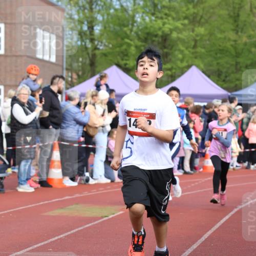 14.04.2024 - Hammer Lauf Strokosch-Dieckow http://msf.ph/oto/6065360 14.04.2024 09:51:49 Ziel 450, 959, 965, 982, 1270, 1404, 450, 959, 965, 982, 1270, 1404 meine-sportfotos.de