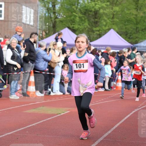 14.04.2024 - Hammer Lauf Strokosch-Dieckow http://msf.ph/oto/6065361 14.04.2024 09:51:51 Ziel 101, 450, 959, 982, 1295, 1402, 101, 450, 959, 982, 1295, 1402 meine-sportfotos.de