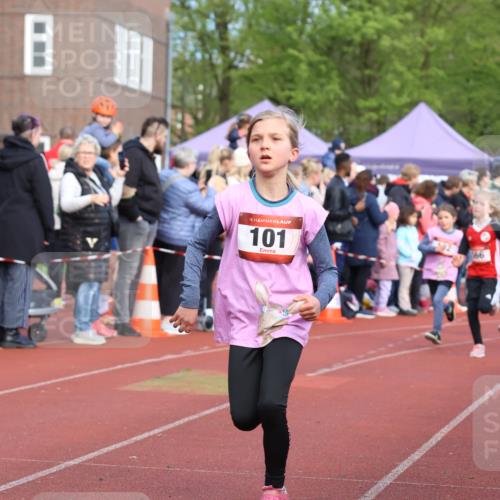 14.04.2024 - Hammer Lauf Strokosch-Dieckow http://msf.ph/oto/6065363 14.04.2024 09:51:51 Ziel 101, 450, 959, 982, 1295, 1402, 101, 450, 959, 982, 1295, 1402 meine-sportfotos.de