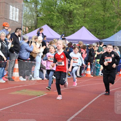 14.04.2024 - Hammer Lauf Strokosch-Dieckow http://msf.ph/oto/6065364 14.04.2024 09:51:52 Ziel 101, 959, 982, 1295, 1402, 101, 959, 982, 1295, 1402 meine-sportfotos.de
