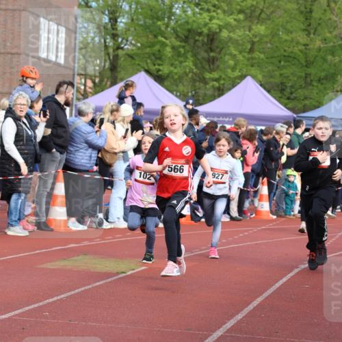 14.04.2024 - Hammer Lauf Strokosch-Dieckow http://msf.ph/oto/6065365 14.04.2024 09:51:52 Ziel 101, 959, 982, 1295, 1402, 101, 959, 982, 1295, 1402 meine-sportfotos.de