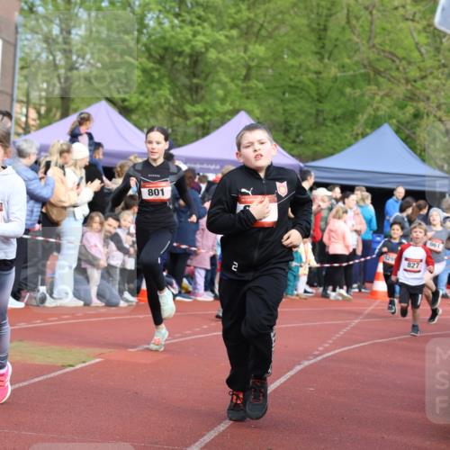 14.04.2024 - Hammer Lauf Strokosch-Dieckow http://msf.ph/oto/6065367 14.04.2024 09:51:54 Ziel 101, 102, 566, 801, 927, 1295, 1402, 101, 102, 566, 801, 927, 1295, 1402 meine-sportfotos.de