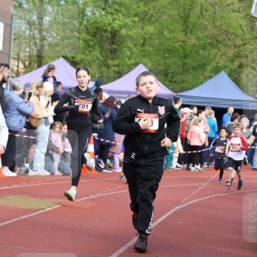 14.04.2024 - Hammer Lauf Strokosch-Dieckow http://msf.ph/oto/6065368 14.04.2024 09:51:54 Ziel 101, 102, 566, 801, 927, 1295, 1402, 101, 102, 566, 801, 927, 1295, 1402 meine-sportfotos.de