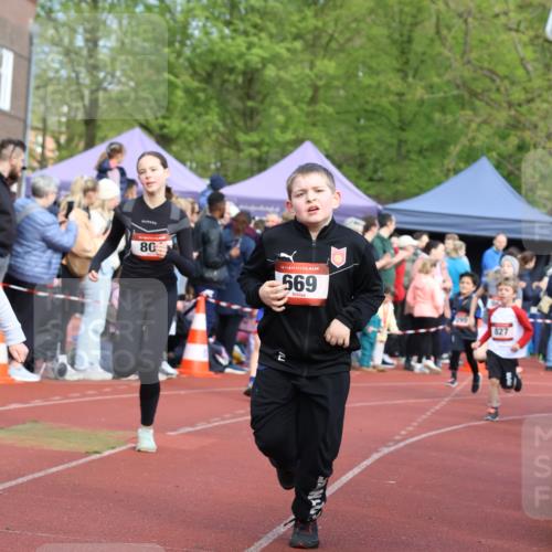 14.04.2024 - Hammer Lauf Strokosch-Dieckow http://msf.ph/oto/6065369 14.04.2024 09:51:54 Ziel 101, 102, 566, 801, 927, 1295, 1402, 101, 102, 566, 801, 927, 1295, 1402 meine-sportfotos.de