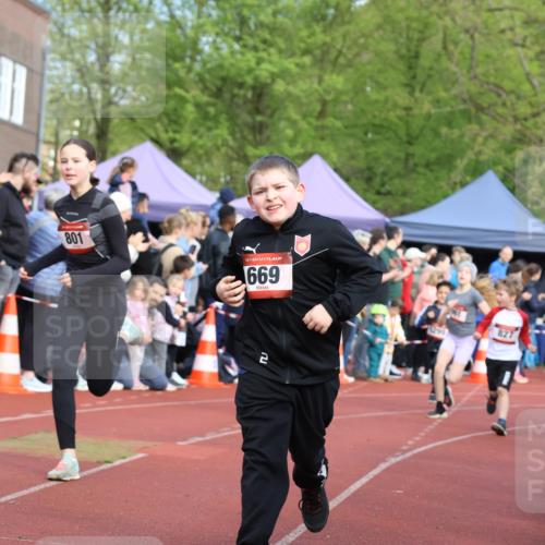 14.04.2024 - Hammer Lauf Strokosch-Dieckow http://msf.ph/oto/6065374 14.04.2024 09:51:54 Ziel 101, 102, 566, 801, 927, 1295, 1402, 101, 102, 566, 801, 927, 1295, 1402 meine-sportfotos.de