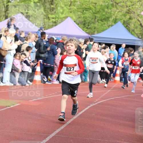 14.04.2024 - Hammer Lauf Strokosch-Dieckow http://msf.ph/oto/6065379 14.04.2024 09:51:57 Ziel 101, 102, 566, 669, 801, 927, 961, 1295, 1299, 1402, 101, 102, 566, 669, 801, 927, 961, 1295, 1299, 1402 meine-sportfotos.de
