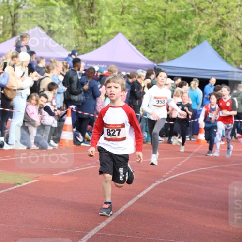 14.04.2024 - Hammer Lauf Strokosch-Dieckow http://msf.ph/oto/6065385 14.04.2024 09:51:57 Ziel 101, 102, 566, 669, 801, 927, 961, 1295, 1299, 1402, 101, 102, 566, 669, 801, 927, 961, 1295, 1299, 1402 meine-sportfotos.de