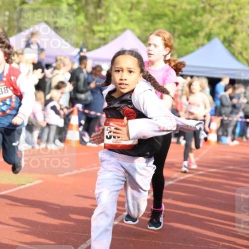 14.04.2024 - Hammer Lauf Strokosch-Dieckow http://msf.ph/oto/6065419 14.04.2024 09:52:01 Ziel 101, 102, 366, 529, 566, 570, 669, 801, 827, 927, 958, 960, 961, 1295, 1299, 1323, 101, 102, 366, 529, 566, 570, 669, 801, 827, 927, 958, 960, 961, 1295, 1299, 1323 meine-sportfotos.de