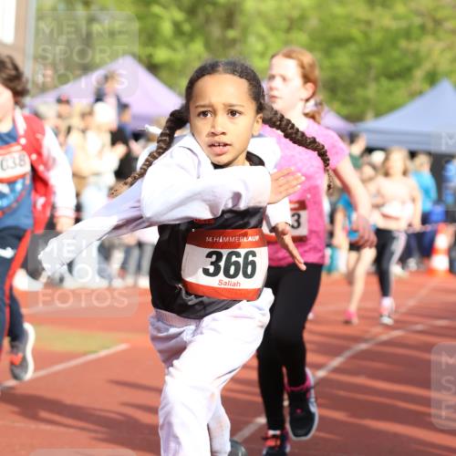 14.04.2024 - Hammer Lauf Strokosch-Dieckow http://msf.ph/oto/6065431 14.04.2024 09:52:02 Ziel 102, 366, 529, 566, 570, 669, 801, 827, 927, 958, 960, 961, 1299, 1323, 102, 366, 529, 566, 570, 669, 801, 827, 927, 958, 960, 961, 1299, 1323 meine-sportfotos.de