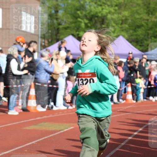 14.04.2024 - Hammer Lauf Strokosch-Dieckow http://msf.ph/oto/6065438 14.04.2024 09:52:10 Ziel 366, 428, 465, 570, 703, 838, 971, 1038, 1289, 1307, 1313, 1320, 1323, 366, 428, 465, 570, 703, 838, 971, 1038, 1289, 1307, 1313, 1320, 1323 meine-sportfotos.de