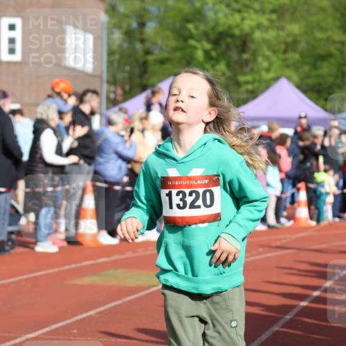 14.04.2024 - Hammer Lauf Strokosch-Dieckow http://msf.ph/oto/6065444 14.04.2024 09:52:10 Ziel 366, 428, 465, 570, 703, 838, 971, 1038, 1289, 1307, 1313, 1320, 1323, 366, 428, 465, 570, 703, 838, 971, 1038, 1289, 1307, 1313, 1320, 1323 meine-sportfotos.de