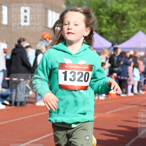 14.04.2024 - Hammer Lauf Strokosch-Dieckow http://msf.ph/oto/6065458 14.04.2024 09:52:11 Ziel 428, 465, 703, 838, 971, 1038, 1289, 1307, 1313, 1320, 1323, 428, 465, 703, 838, 971, 1038, 1289, 1307, 1313, 1320, 1323 meine-sportfotos.de
