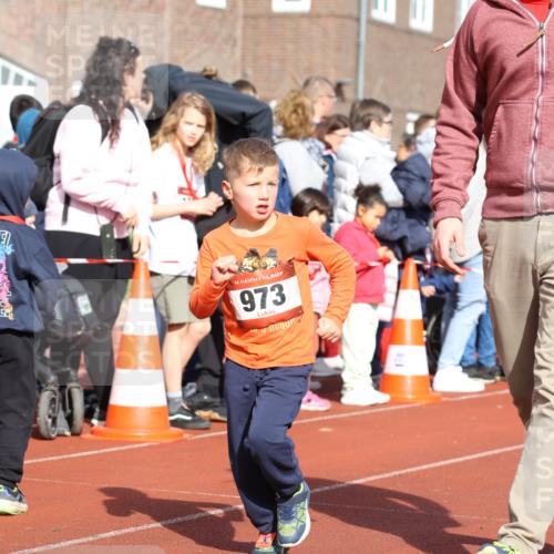 14.04.2024 - Hammer Lauf Strokosch-Dieckow http://msf.ph/oto/6065539 14.04.2024 09:52:18 Ziel 428, 838, 962, 1179, 1289, 1307, 1320, 1336, 428, 838, 962, 1179, 1289, 1307, 1320, 1336 meine-sportfotos.de