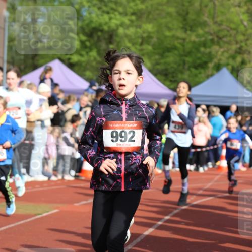 14.04.2024 - Hammer Lauf Strokosch-Dieckow http://msf.ph/oto/6065564 14.04.2024 09:52:24 Ziel 470, 913, 962, 973, 992, 1245, 1291, 470, 913, 962, 973, 992, 1245, 1291 meine-sportfotos.de
