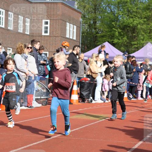 14.04.2024 - Hammer Lauf Strokosch-Dieckow http://msf.ph/oto/6065727 14.04.2024 09:52:38 Ziel 569, 672, 949, 996, 1034, 1226, 569, 672, 949, 996, 1034, 1226 meine-sportfotos.de
