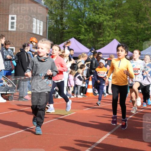 14.04.2024 - Hammer Lauf Strokosch-Dieckow http://msf.ph/oto/6065736 14.04.2024 09:52:39 Ziel 569, 578, 672, 949, 996, 1034, 1226, 569, 578, 672, 949, 996, 1034, 1226 meine-sportfotos.de