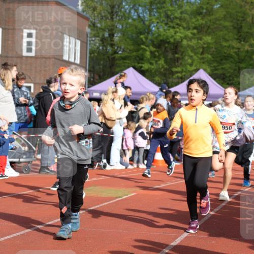 14.04.2024 - Hammer Lauf Strokosch-Dieckow http://msf.ph/oto/6065751 14.04.2024 09:52:40 Ziel 569, 578, 672, 949, 954, 996, 1034, 1226, 1397, 569, 578, 672, 949, 954, 996, 1034, 1226, 1397 meine-sportfotos.de