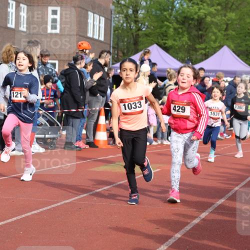 14.04.2024 - Hammer Lauf Strokosch-Dieckow http://msf.ph/oto/6065808 14.04.2024 09:52:46 Ziel 312, 394, 526, 578, 931, 950, 954, 975, 996, 1010, 1287, 1319, 1365, 1397, 1400, 312, 394, 526, 578, 931, 950, 954, 975, 996, 1010, 1287, 1319, 1365, 1397, 1400 meine-sportfotos.de