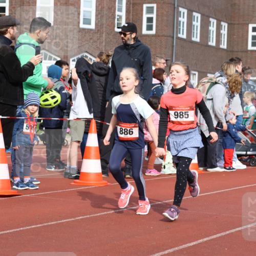 14.04.2024 - Hammer Lauf Strokosch-Dieckow http://msf.ph/oto/6065903 14.04.2024 09:52:51 Ziel 283, 312, 394, 429, 526, 545, 931, 950, 975, 1010, 1031, 1033, 1215, 1287, 1319, 1365, 1386, 1400, 283, 312, 394, 429, 526, 545, 931, 950, 975, 1010, 1031, 1033, 1215, 1287, 1319, 1365, 1386, 1400 meine-sportfotos.de