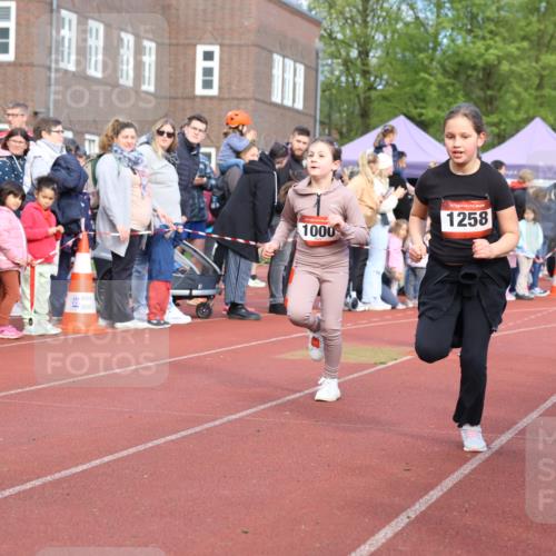 14.04.2024 - Hammer Lauf Strokosch-Dieckow http://msf.ph/oto/6065917 14.04.2024 09:52:55 Ziel 283, 429, 545, 886, 975, 985, 1031, 1033, 1215, 1258, 1386, 283, 429, 545, 886, 975, 985, 1031, 1033, 1215, 1258, 1386 meine-sportfotos.de