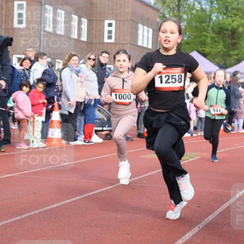 14.04.2024 - Hammer Lauf Strokosch-Dieckow http://msf.ph/oto/6065936 14.04.2024 09:52:55 Ziel 283, 429, 545, 886, 975, 985, 1031, 1033, 1215, 1258, 1386, 283, 429, 545, 886, 975, 985, 1031, 1033, 1215, 1258, 1386 meine-sportfotos.de