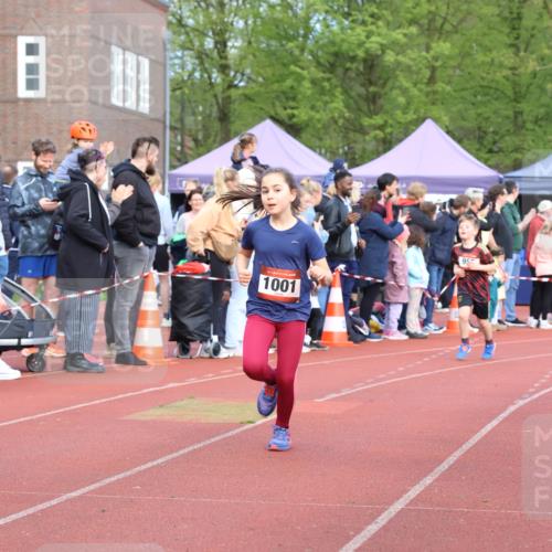 14.04.2024 - Hammer Lauf Strokosch-Dieckow http://msf.ph/oto/6066002 14.04.2024 09:53:05 Ziel 546, 941, 1000, 1403, 546, 941, 1000, 1403 meine-sportfotos.de
