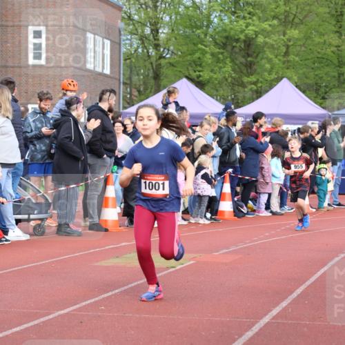 14.04.2024 - Hammer Lauf Strokosch-Dieckow http://msf.ph/oto/6066019 14.04.2024 09:53:06 Ziel 546, 941, 1000, 1001, 1014, 1403, 546, 941, 1000, 1001, 1014, 1403 meine-sportfotos.de