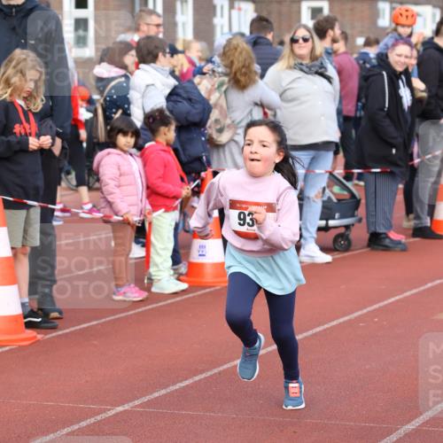 14.04.2024 - Hammer Lauf Strokosch-Dieckow http://msf.ph/oto/6066095 14.04.2024 09:53:27 Ziel 595, 935, 1021, 595, 935, 1021 meine-sportfotos.de