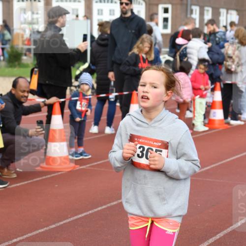 14.04.2024 - Hammer Lauf Strokosch-Dieckow http://msf.ph/oto/6066206 14.04.2024 09:53:43 Ziel 653, 839, 937, 653, 839, 937 meine-sportfotos.de