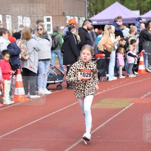 14.04.2024 - Hammer Lauf Strokosch-Dieckow http://msf.ph/oto/6066221 14.04.2024 09:53:51 Ziel 937, 1305, 937, 1305 meine-sportfotos.de