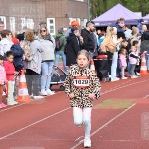 14.04.2024 - Hammer Lauf Strokosch-Dieckow http://msf.ph/oto/6066228 14.04.2024 09:53:51 Ziel 937, 1305, 937, 1305 meine-sportfotos.de