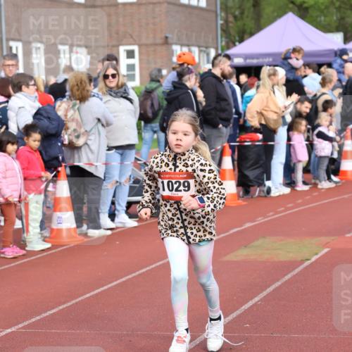 14.04.2024 - Hammer Lauf Strokosch-Dieckow http://msf.ph/oto/6066237 14.04.2024 09:53:51 Ziel 937, 1305, 937, 1305 meine-sportfotos.de