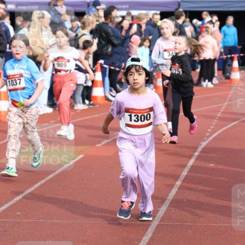 14.04.2024 - Hammer Lauf Strokosch-Dieckow http://msf.ph/oto/6066253 14.04.2024 09:53:53 Ziel 1029, 1305, 1029, 1305 meine-sportfotos.de