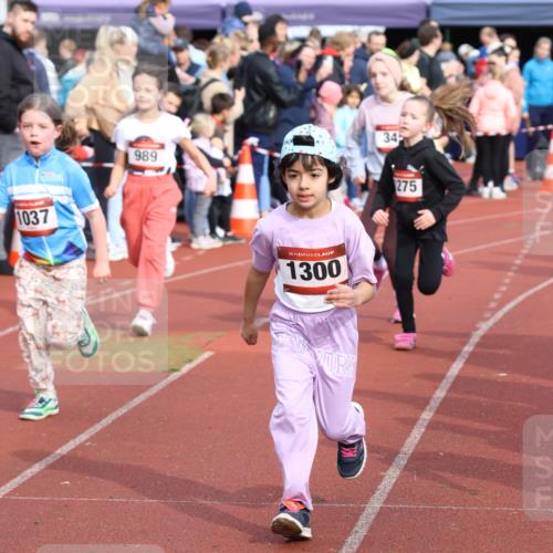 14.04.2024 - Hammer Lauf Strokosch-Dieckow http://msf.ph/oto/6066262 14.04.2024 09:53:53 Ziel 1029, 1305, 1029, 1305 meine-sportfotos.de