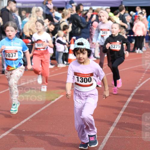 14.04.2024 - Hammer Lauf Strokosch-Dieckow http://msf.ph/oto/6066272 14.04.2024 09:53:53 Ziel 1029, 1305, 1029, 1305 meine-sportfotos.de