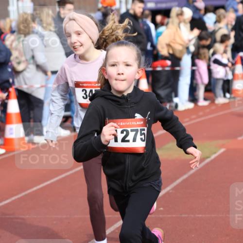 14.04.2024 - Hammer Lauf Strokosch-Dieckow http://msf.ph/oto/6066310 14.04.2024 09:53:55 Ziel 1029, 1037, 1275, 1300, 1029, 1037, 1275, 1300 meine-sportfotos.de