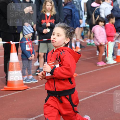 14.04.2024 - Hammer Lauf Strokosch-Dieckow http://msf.ph/oto/6066318 14.04.2024 09:53:58 Ziel 345, 989, 1029, 1037, 1275, 1300, 345, 989, 1029, 1037, 1275, 1300 meine-sportfotos.de