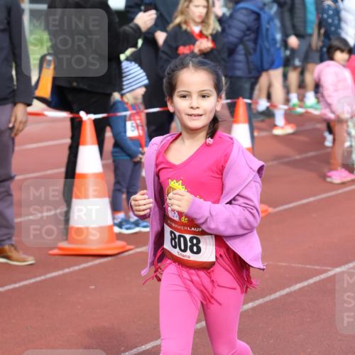 14.04.2024 - Hammer Lauf Strokosch-Dieckow http://msf.ph/oto/6066338 14.04.2024 09:54:02 Ziel 345, 989, 1029, 1037, 1275, 1300, 1393, 345, 989, 1029, 1037, 1275, 1300, 1393 meine-sportfotos.de