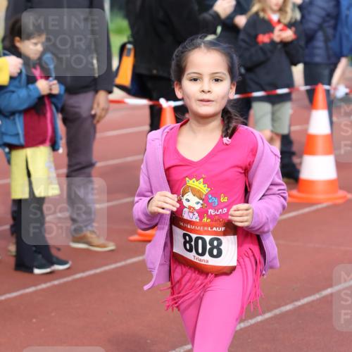 14.04.2024 - Hammer Lauf Strokosch-Dieckow http://msf.ph/oto/6066355 14.04.2024 09:54:02 Ziel 345, 989, 1029, 1037, 1275, 1300, 1393, 345, 989, 1029, 1037, 1275, 1300, 1393 meine-sportfotos.de