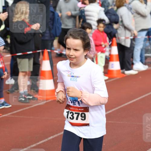 14.04.2024 - Hammer Lauf Strokosch-Dieckow http://msf.ph/oto/6066363 14.04.2024 09:54:05 Ziel 345, 808, 989, 1037, 1275, 1379, 1393, 345, 808, 989, 1037, 1275, 1379, 1393 meine-sportfotos.de