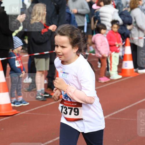 14.04.2024 - Hammer Lauf Strokosch-Dieckow http://msf.ph/oto/6066368 14.04.2024 09:54:05 Ziel 345, 808, 989, 1037, 1275, 1379, 1393, 345, 808, 989, 1037, 1275, 1379, 1393 meine-sportfotos.de