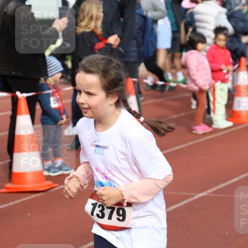 14.04.2024 - Hammer Lauf Strokosch-Dieckow http://msf.ph/oto/6066375 14.04.2024 09:54:05 Ziel 345, 808, 989, 1037, 1275, 1379, 1393, 345, 808, 989, 1037, 1275, 1379, 1393 meine-sportfotos.de