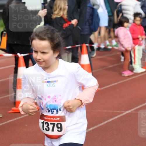14.04.2024 - Hammer Lauf Strokosch-Dieckow http://msf.ph/oto/6066382 14.04.2024 09:54:05 Ziel 345, 808, 989, 1037, 1275, 1379, 1393, 345, 808, 989, 1037, 1275, 1379, 1393 meine-sportfotos.de